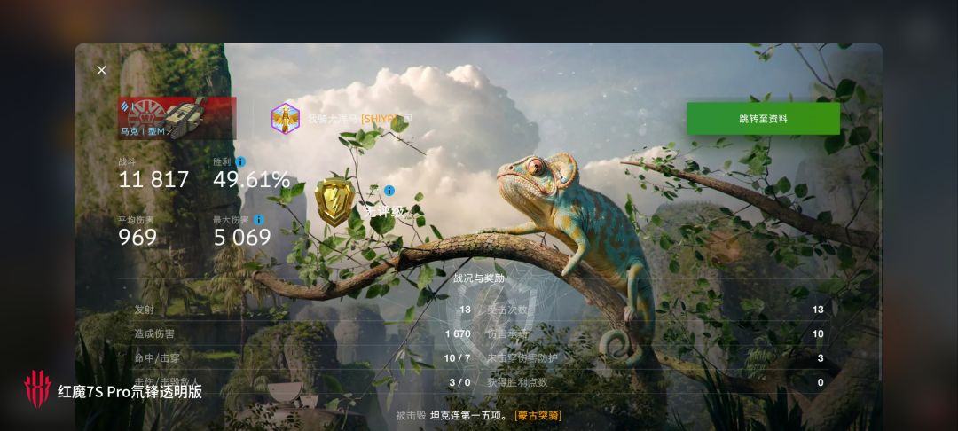 动态图片 11
