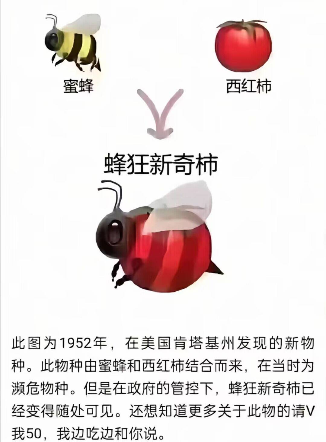 坩埚合成的主属性也会变成随机吗? 1