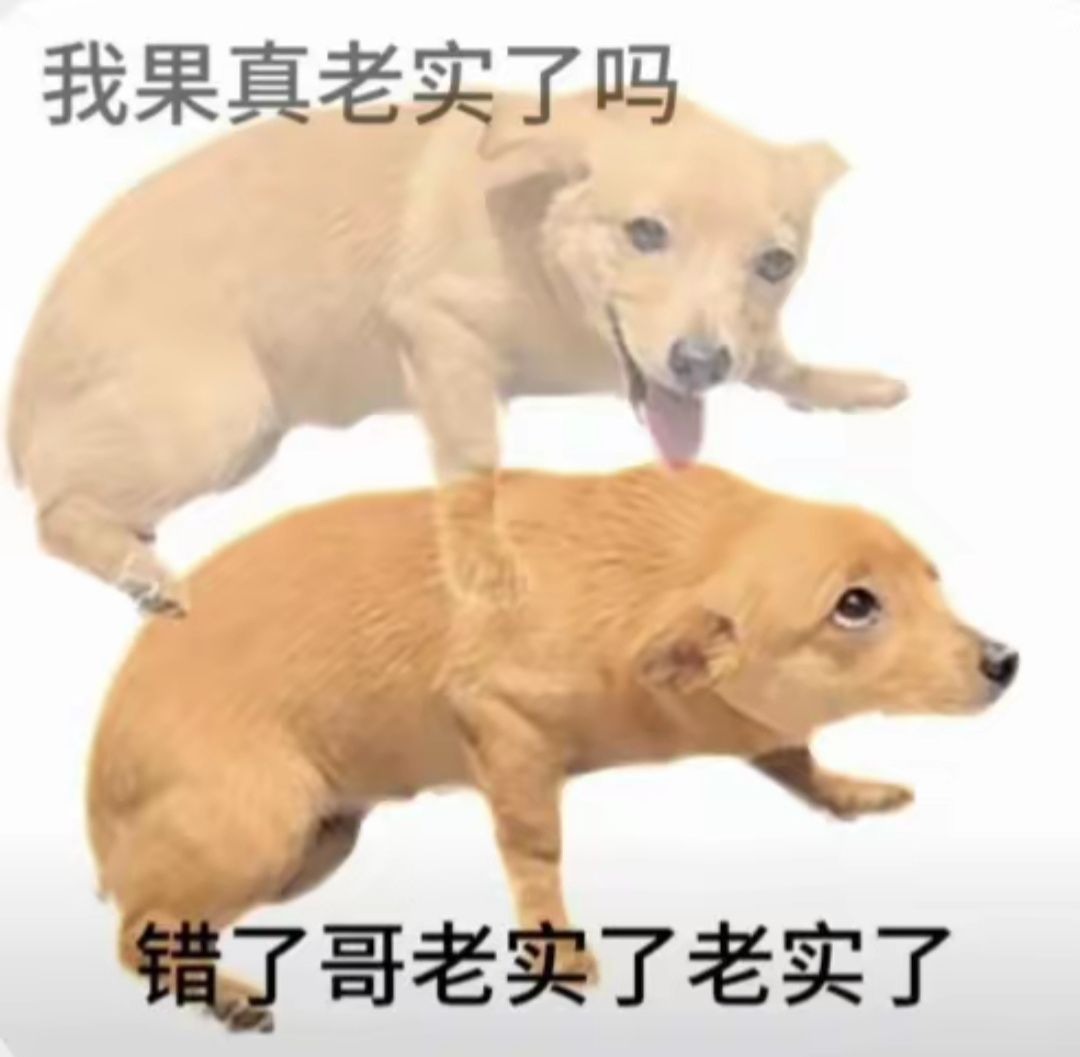 圣龙站位截图