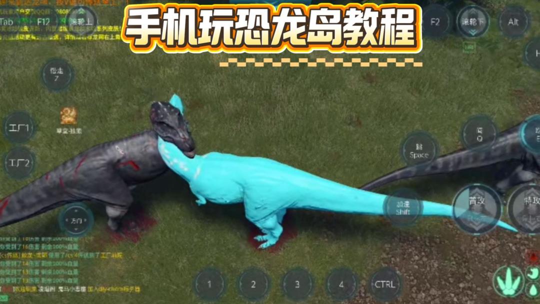 video-5621843