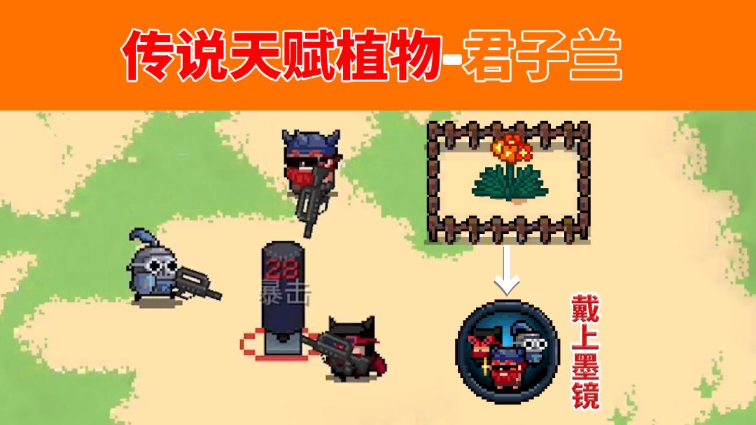 元气骑士：传说天赋-戴上墨镜，君子兰的获取途径截图