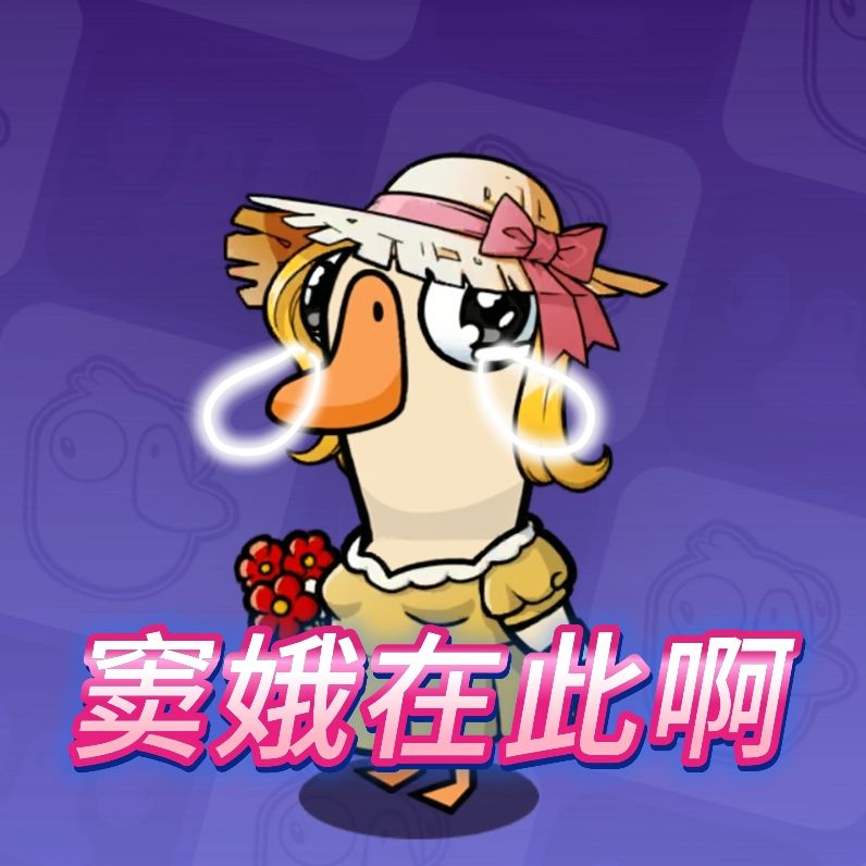 窦娥本娥 1