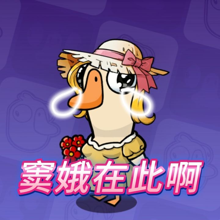 窦娥本娥截图