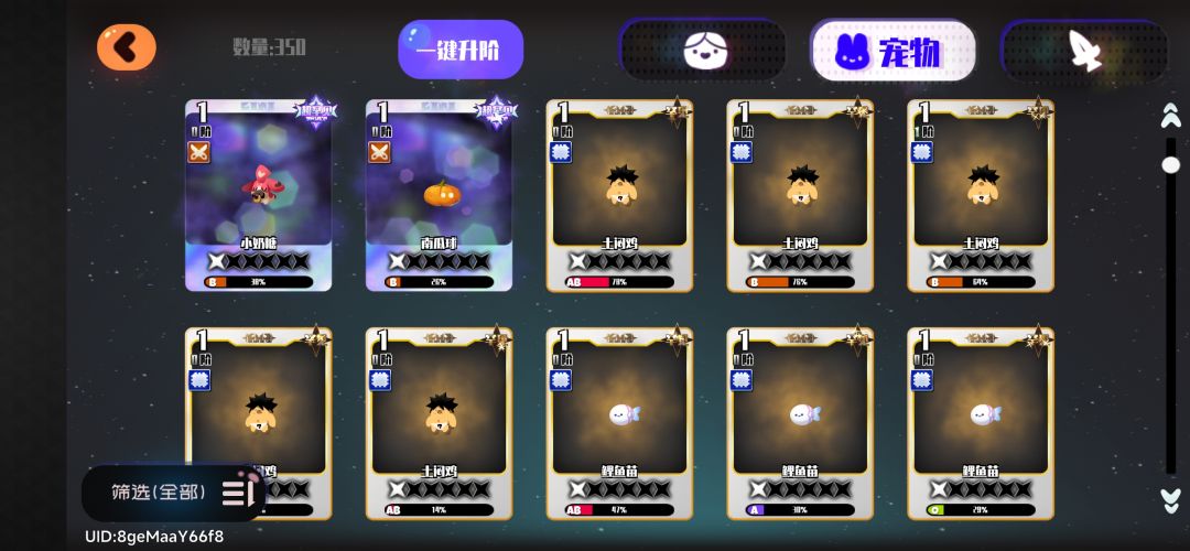 回坑 5
