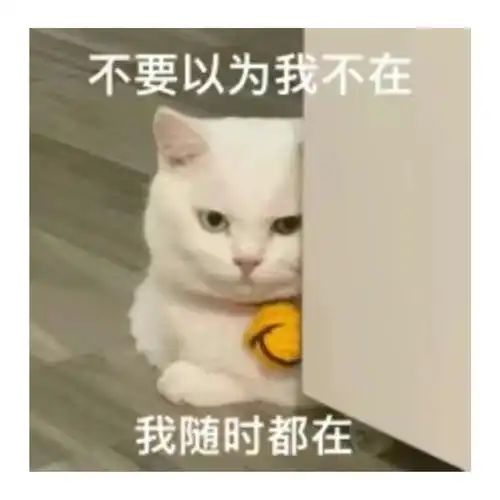 江湖武学传承后技能重数有什么补偿吗 1