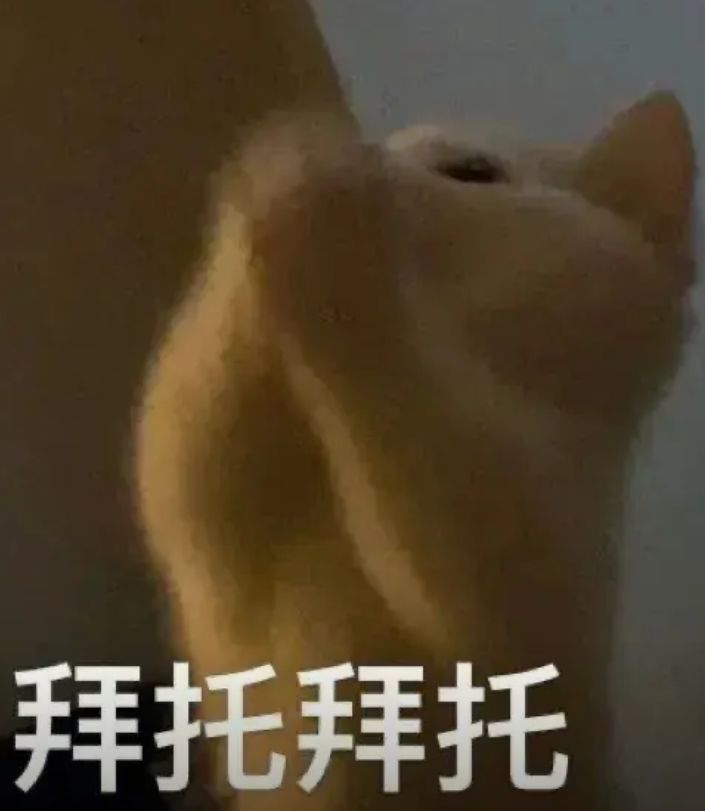 谁能带带我呀截图
