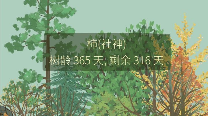 时间过得真快截图