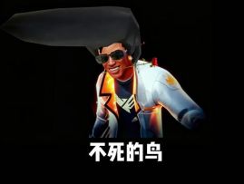 他们都叫我不死鸟