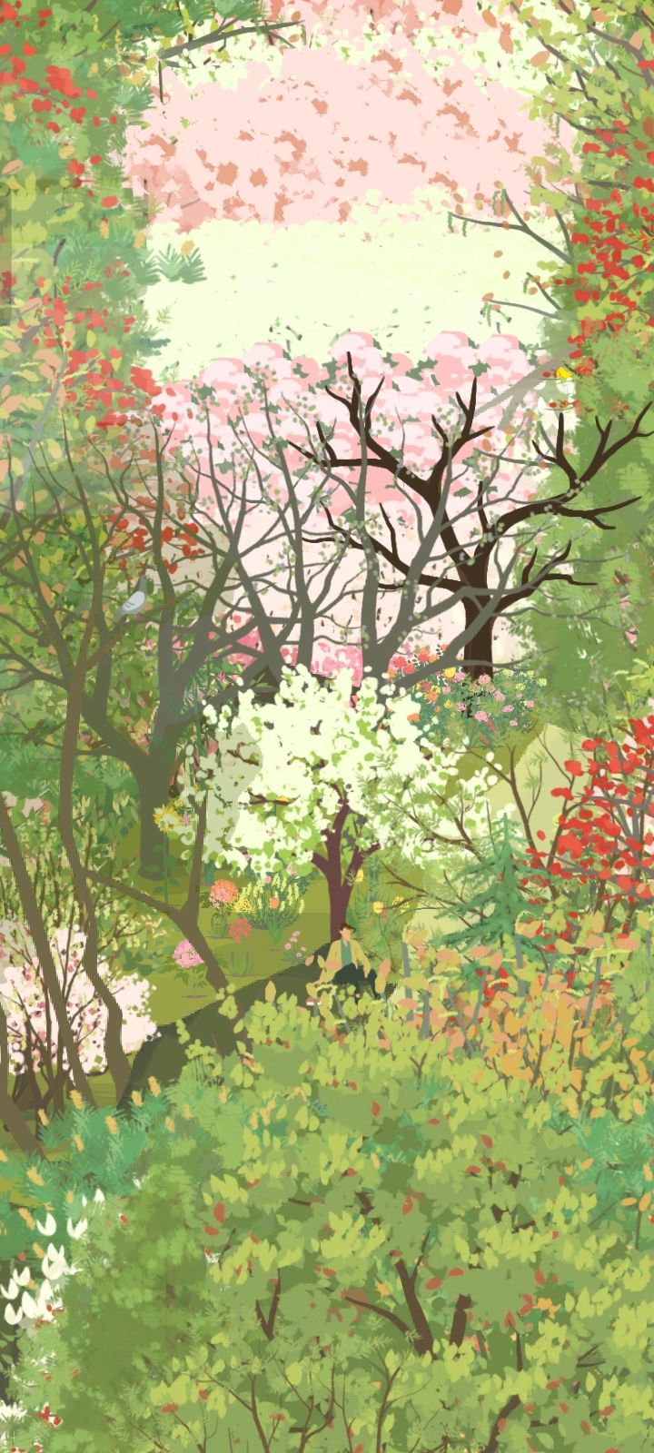 🌸春天来了~春天来了~🌸 2