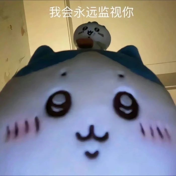为什么冷宫日记一个月没更新了?截图