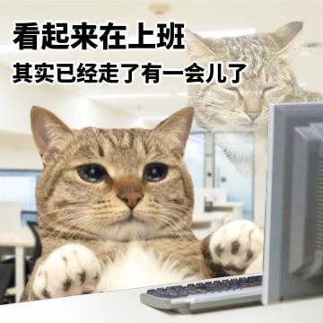 闲聊！我在做啥？