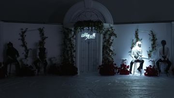 来自野生荔枝喵偷看视角的快讯一则！