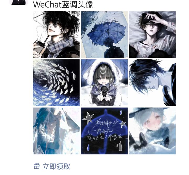 维sir进蓝调头像库了截图
