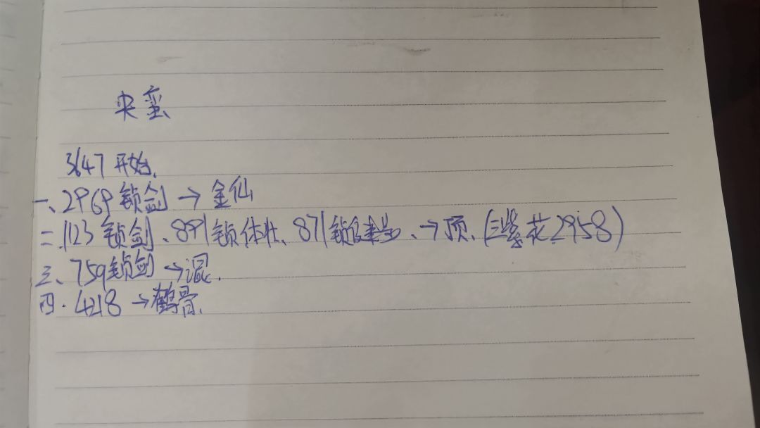 央蛮洗脉 2