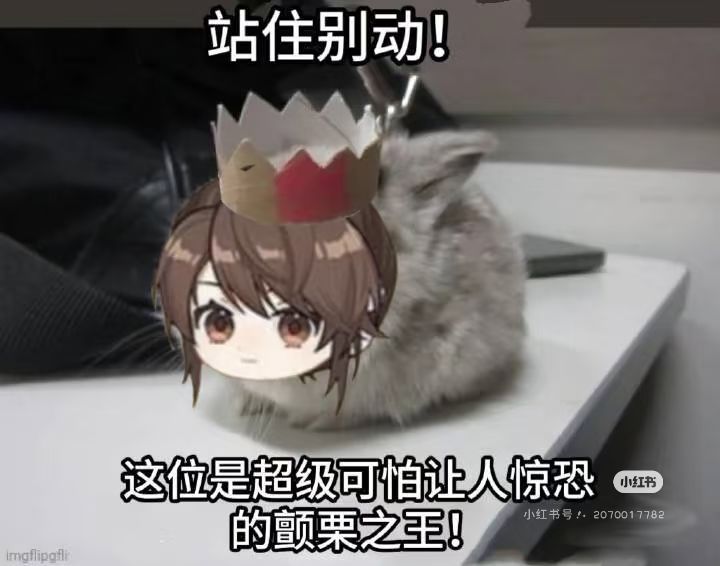 柿子堂堂来袭 3