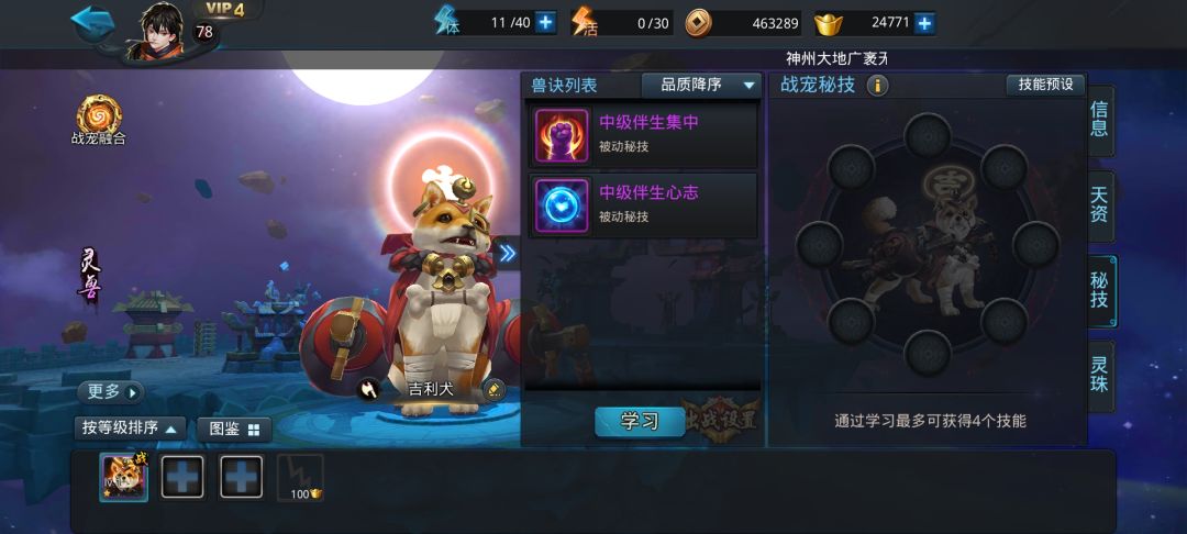 萌新灵宠求助 2