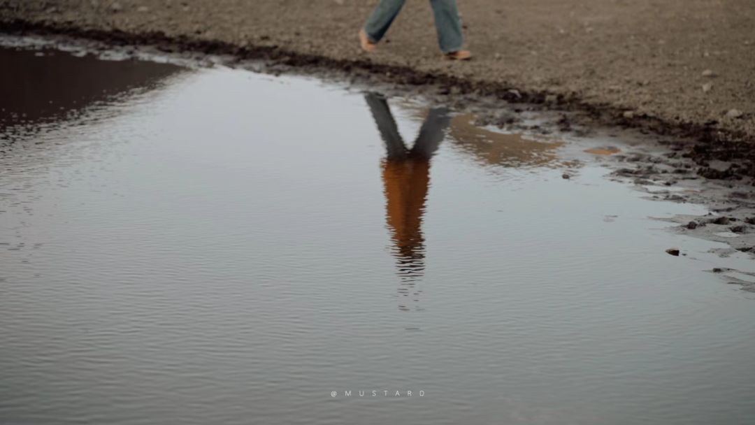 且行且珍惜。 1