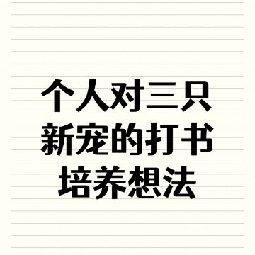 【攻略】分享下自己对三只新宠的打书想法