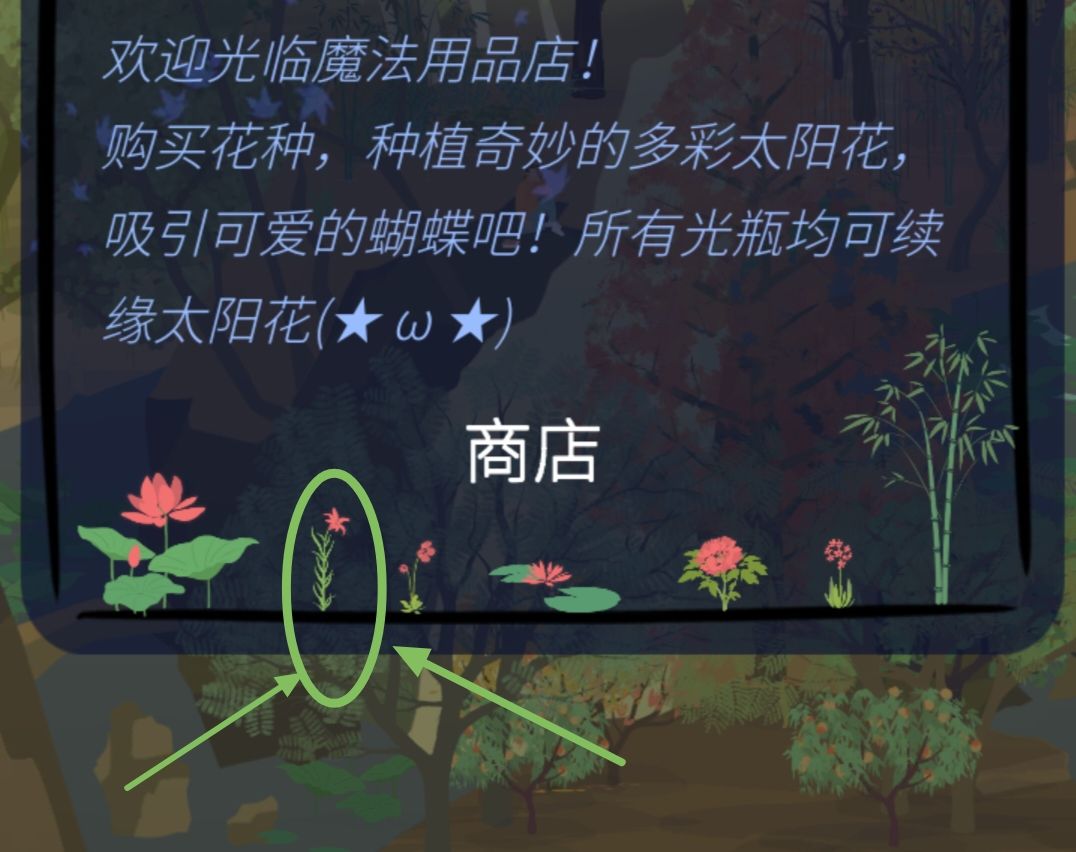 这个是什么花呢? 1
