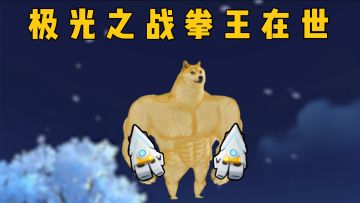 什么是极光之战《拳王》