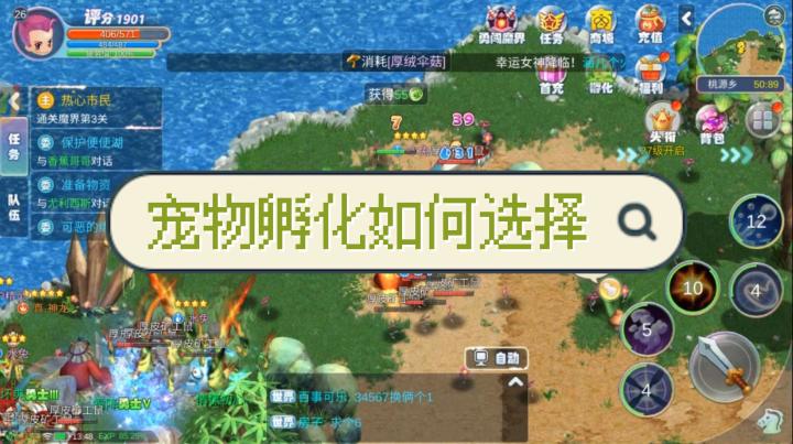 宠物怎么去孵化出好的呢?截图