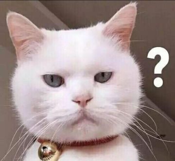 啥时候正式上线呢