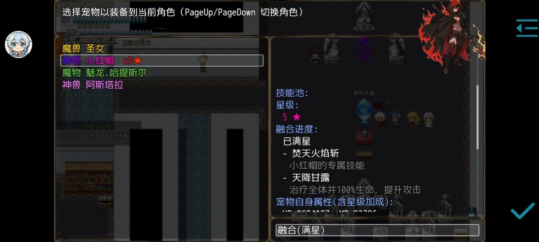 宠物所有知识点总结 3