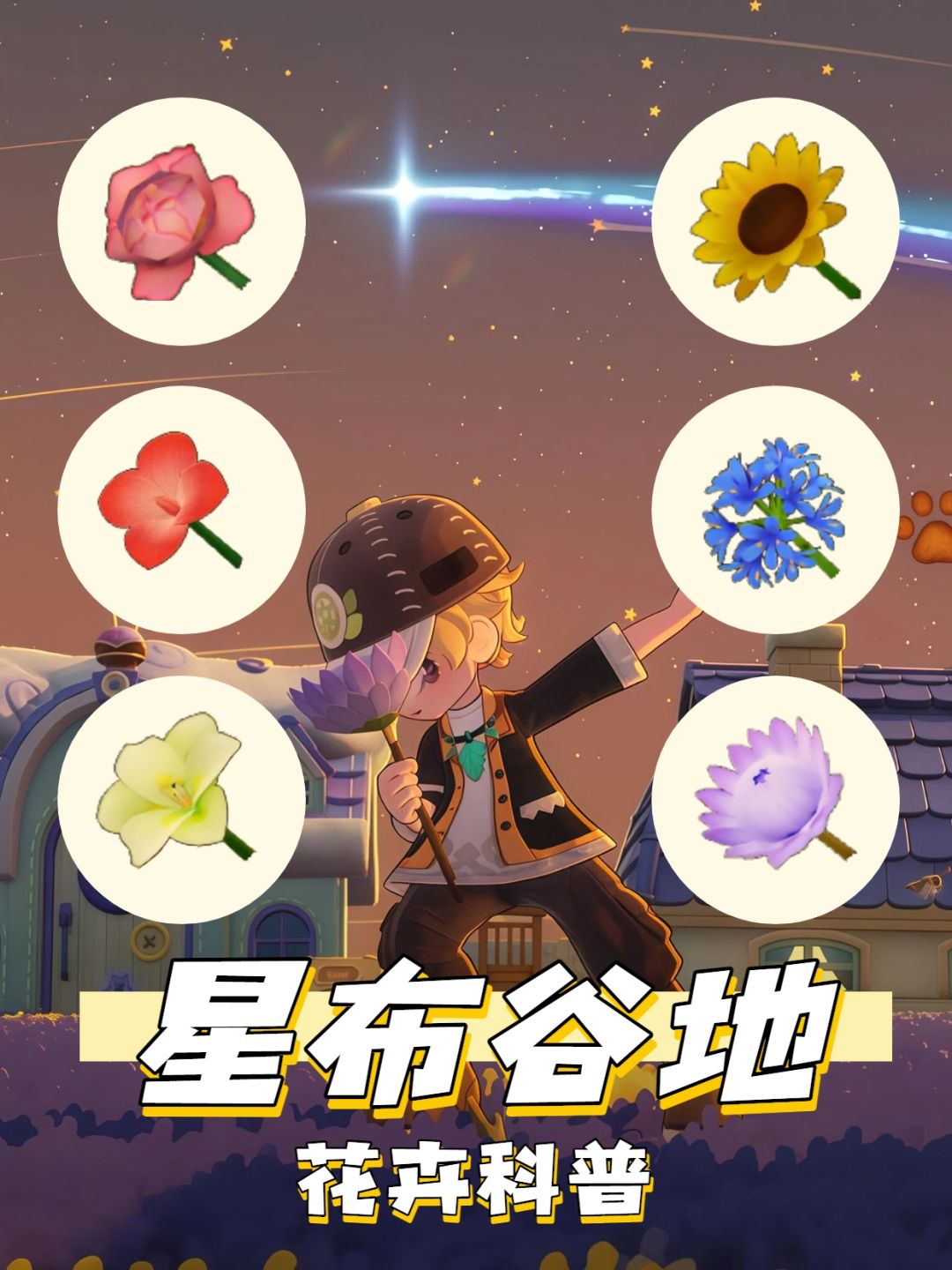 星布谷地花卉科普大全截图