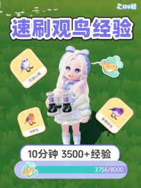 观鸟速升级攻略 10分钟3500+经验 神仙刷点