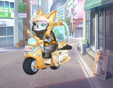 猫咪日报丨未来的一天