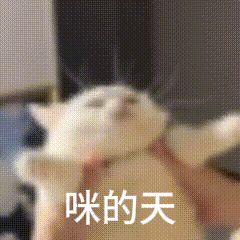关于更新的新活动截图