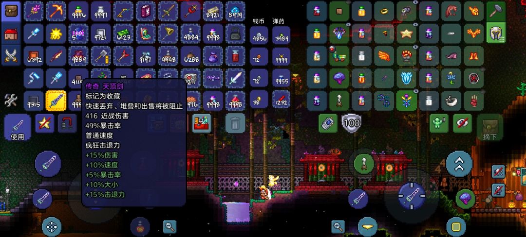 泰拉瑞亚战士毕业饰品搭配 2