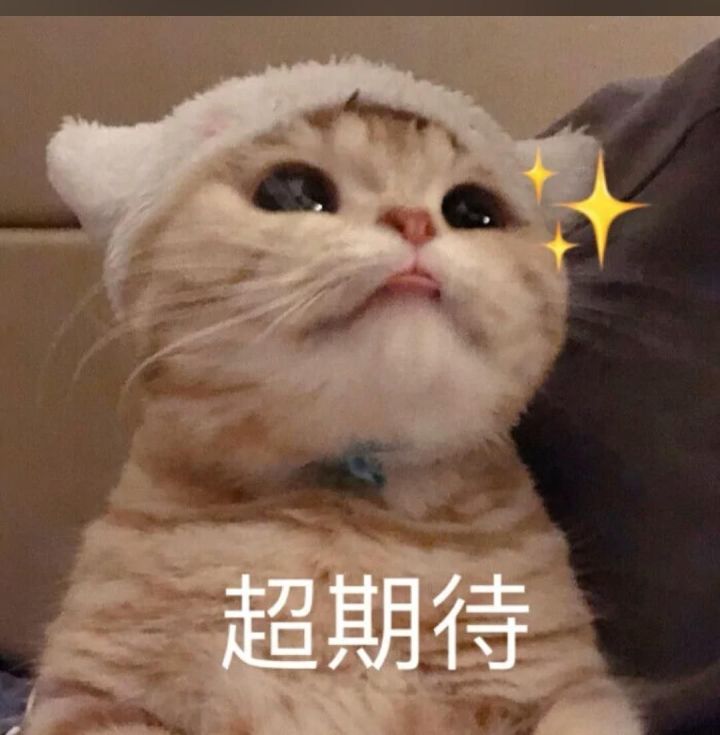 堕落天使+双生武魂截图