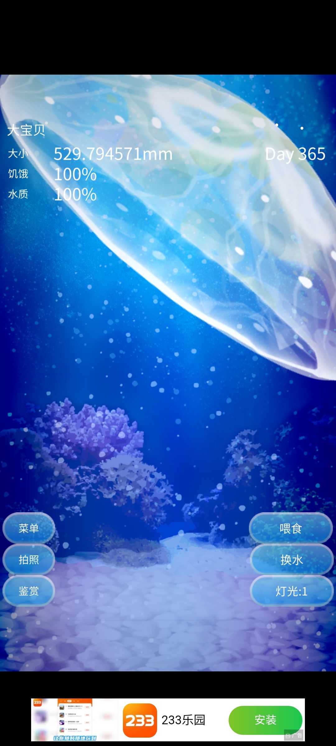 动态图片 3