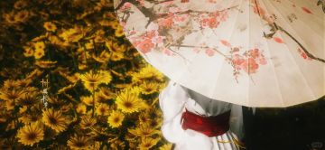 感觉好多少东家都退坑了