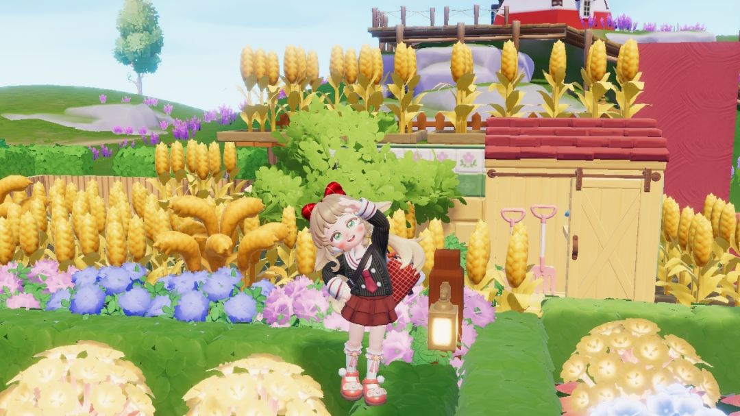 高空种菜 2