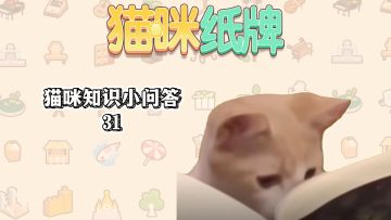 《猫咪纸牌》猫知识小问答 31🐱
