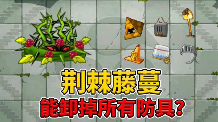 pvz2:荆棘藤蔓能够除掉所有防具吗?截图