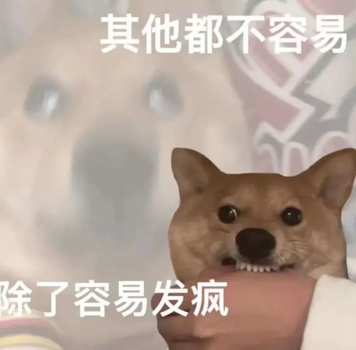 基金月卡党，女剑主，商怎么加点和用什么功法，后面打算攒僧。截图