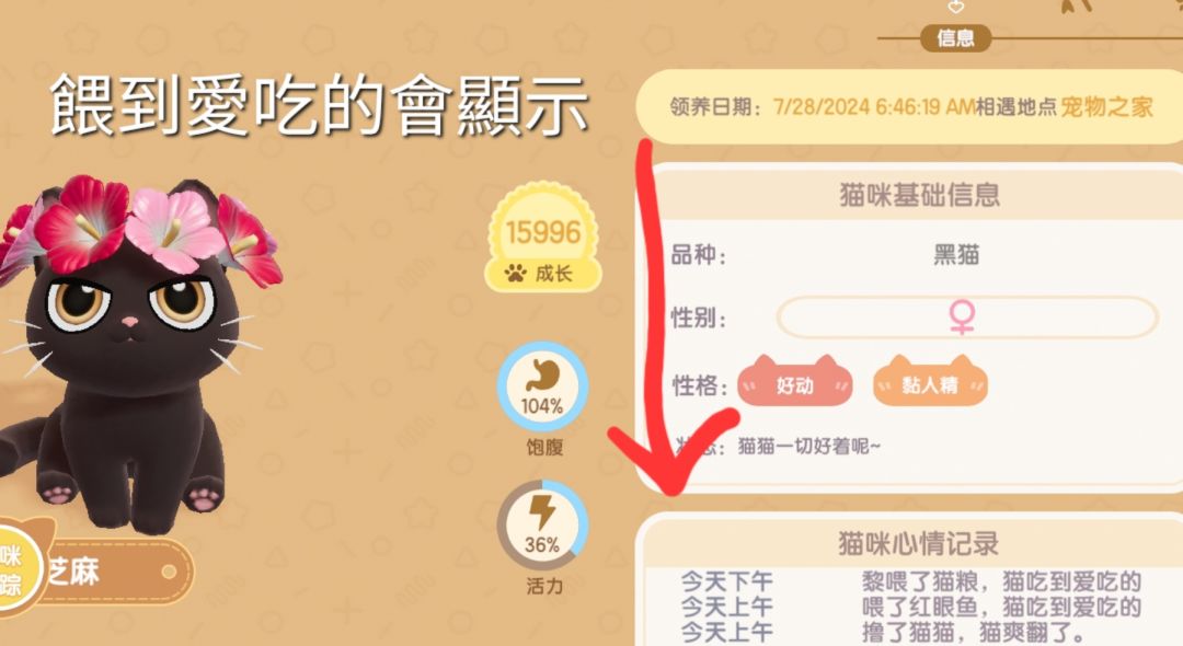 如何知道貓愛吃什麼? 3