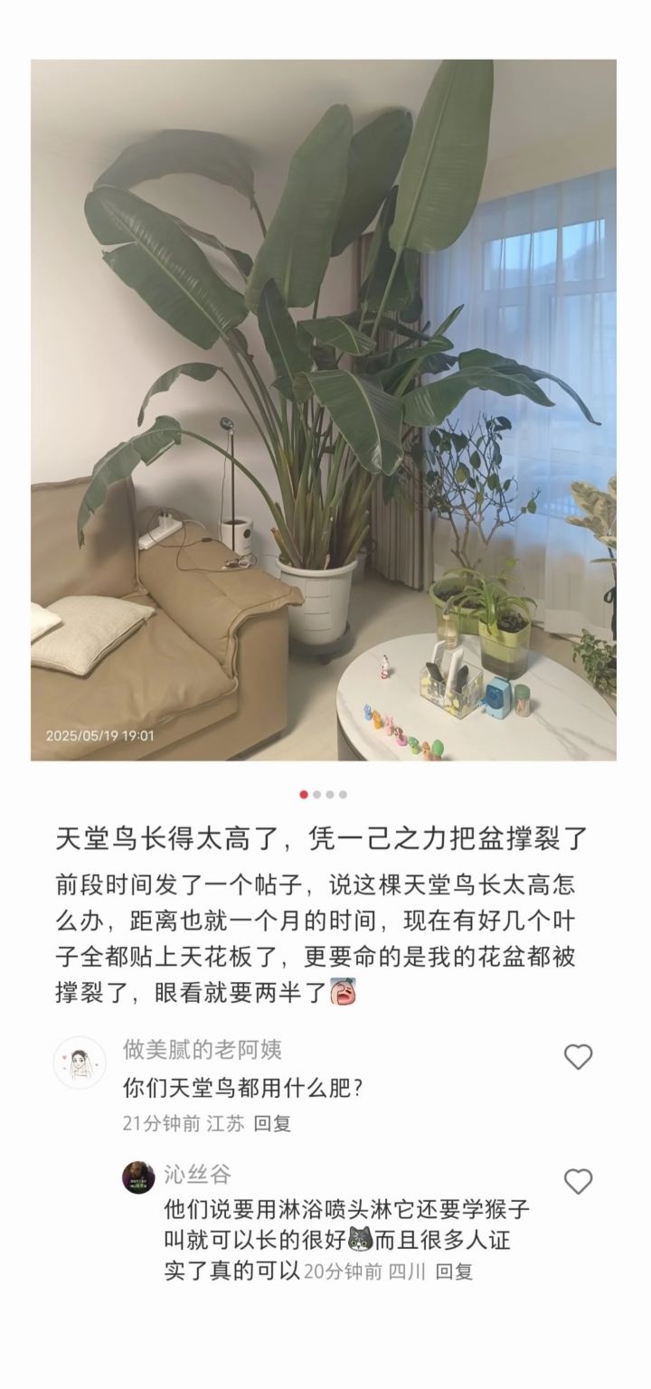 今日份笑料 14