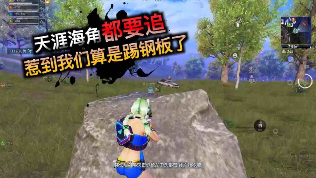 video-4041555