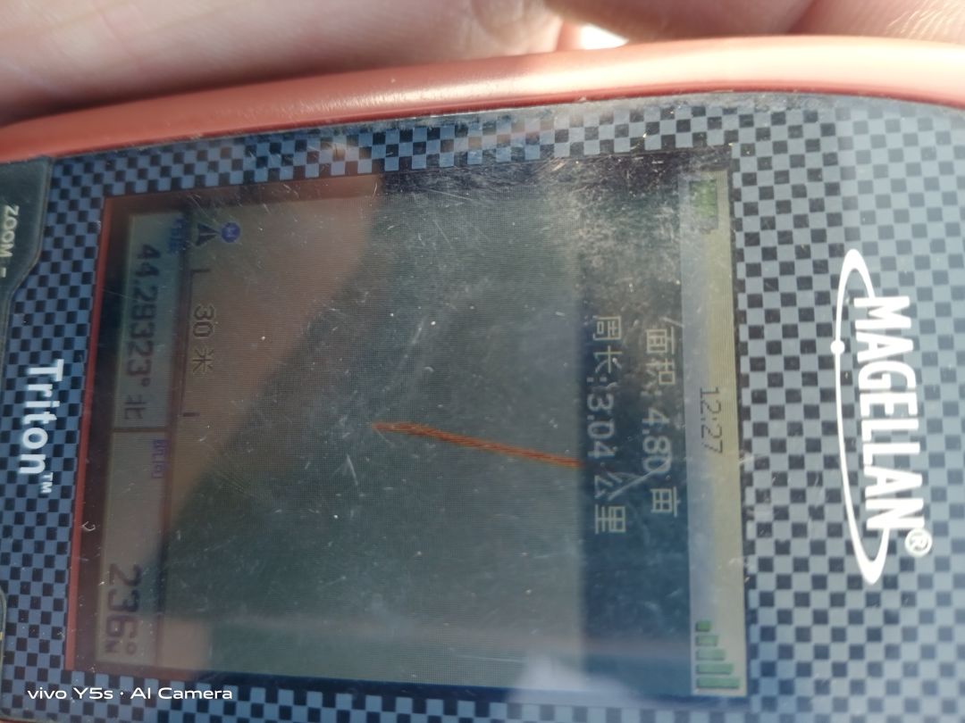 动态图片 4
