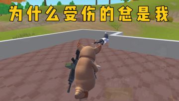 为什么受伤的总是我