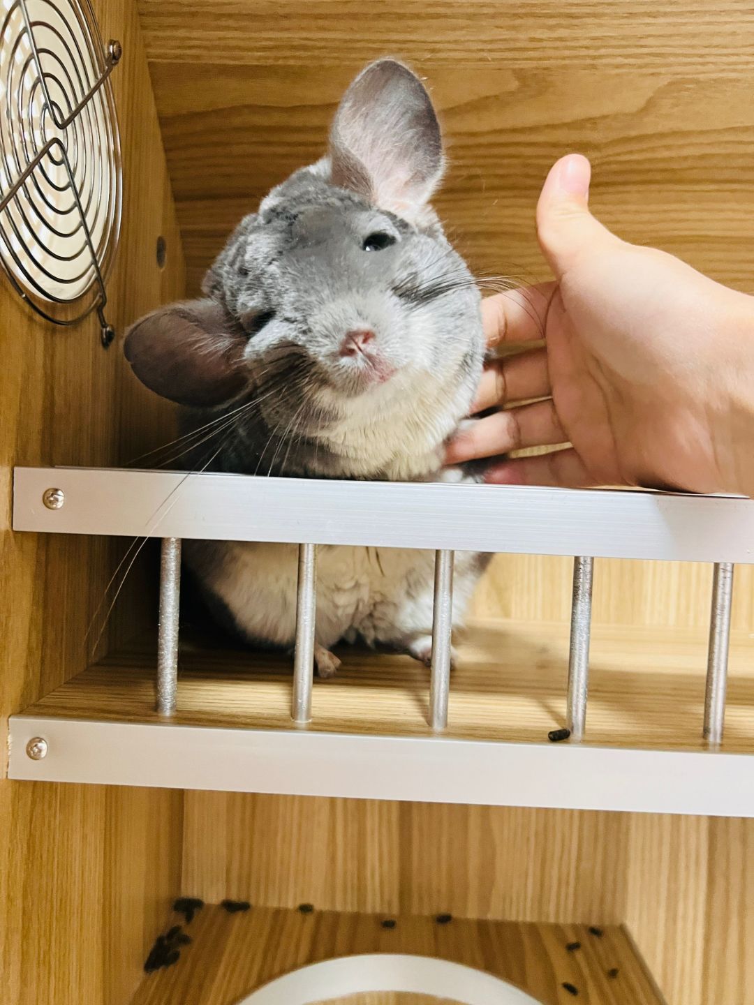 请问出生码可以改吗 1