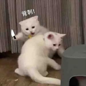 有大佬借巴音不[表情_斜眼笑]截图