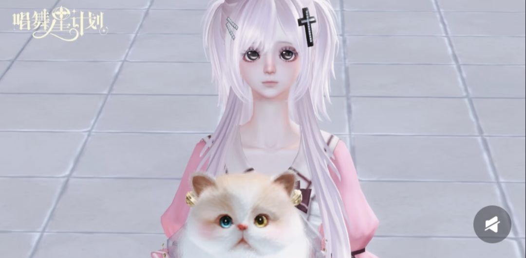 猫猫 1