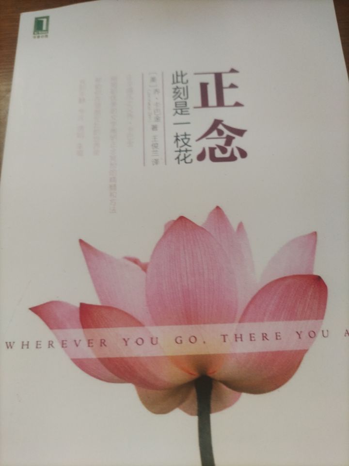 这本书感觉还不错诶,大致翻了一下目录截图