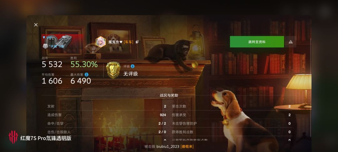 动态图片 10
