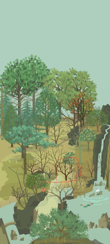 一棵有想法的杏树：凭自己的努力升入空中